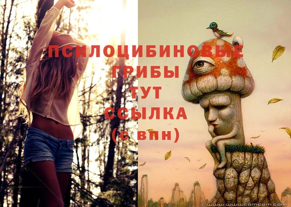 соль ск Баксан