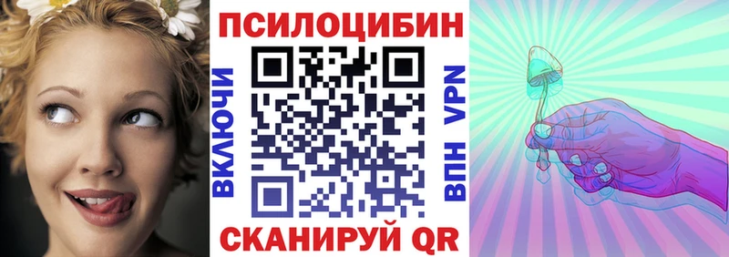 маркетплейс формула  Кстово  Псилоцибиновые грибы Psilocybine cubensis 